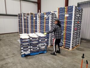 warehouse worker with pallets of grapes